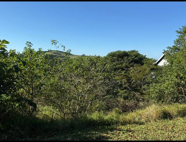 LAND FOR SALE IN ZINI RIVER ESTATE